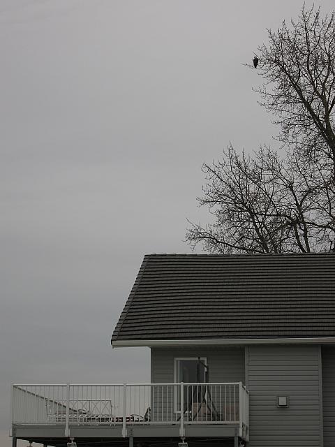 IMG 1964
