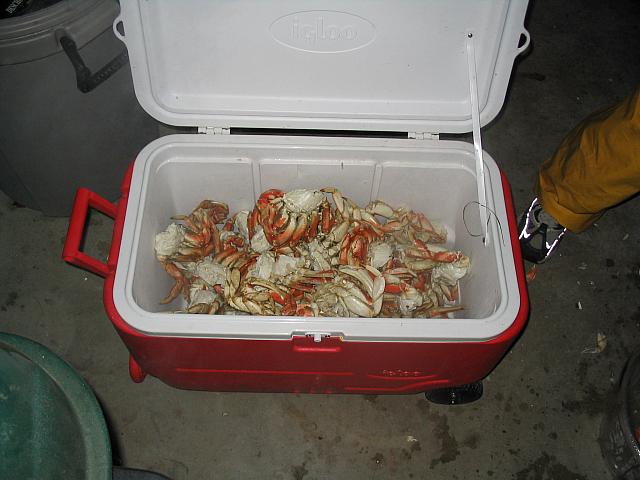 IMG 0387