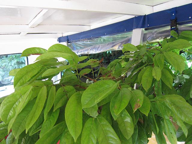 IMG 7020