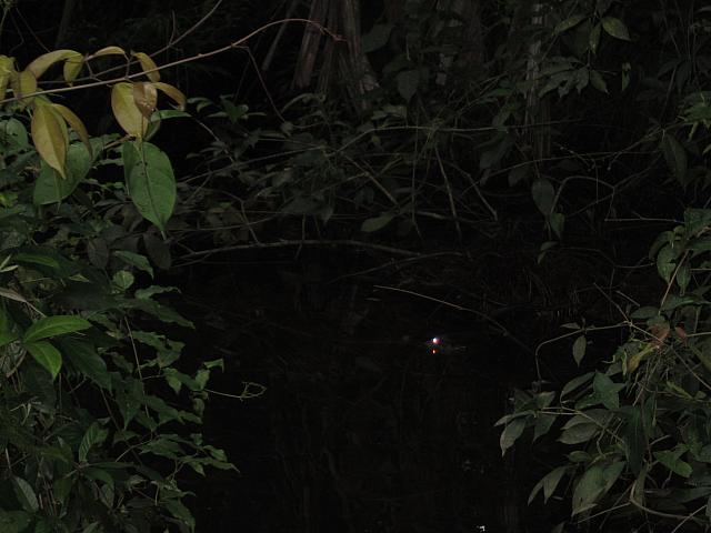 IMG 7181
