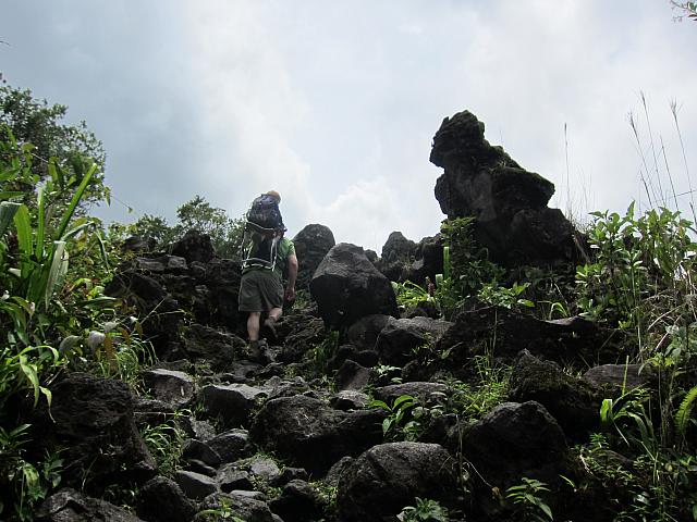 IMG 7441