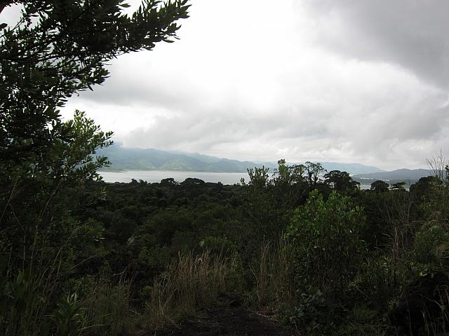 IMG 7471