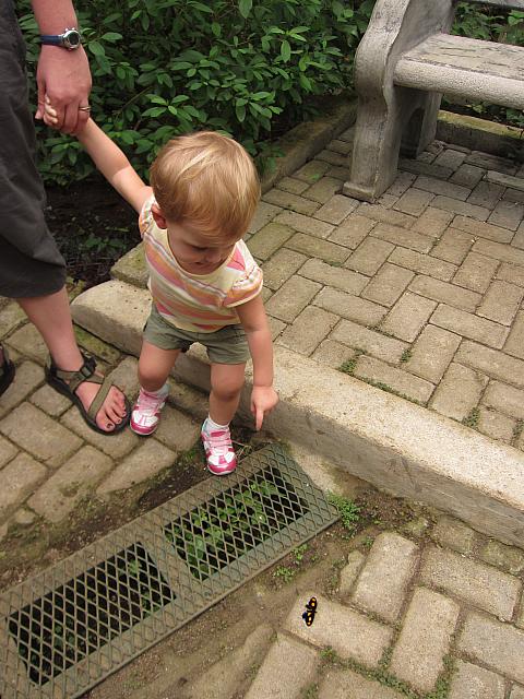 IMG 7835