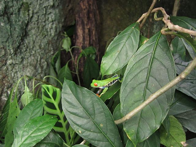 IMG 7884