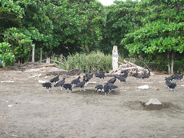IMG 8079