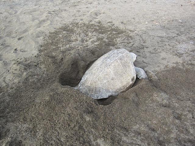 IMG 8084