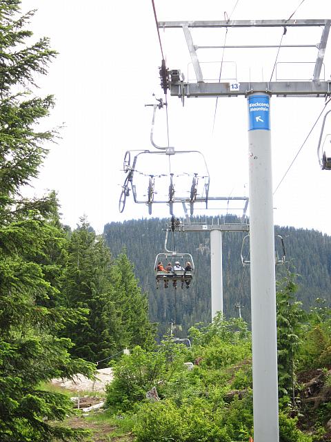 IMG 4516
