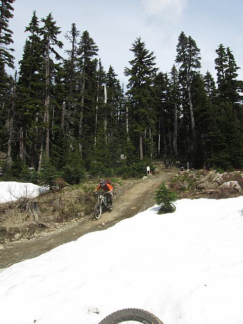 IMG 4608