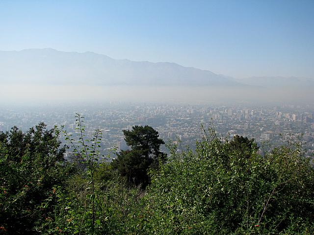 Picture 119