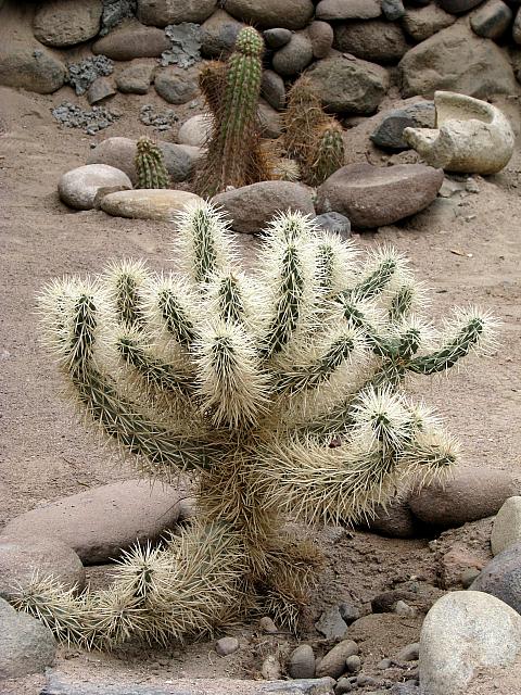 AZ025