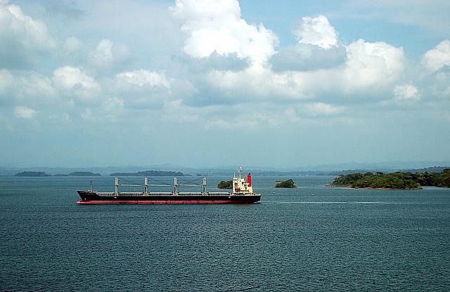 DSC 0101