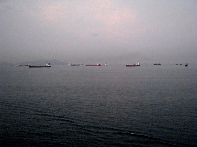 IMG 1905