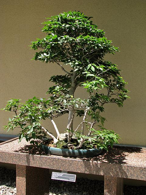 201107 1186