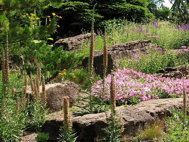 201107 1250