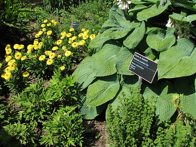 201107 1266