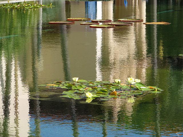 201109 390