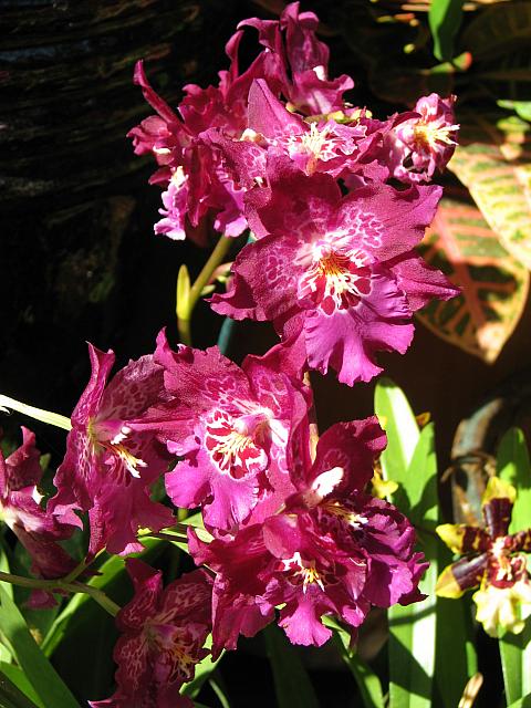 201109 402
