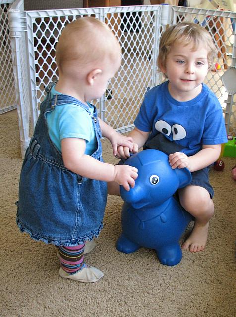 An Elephant Encounter