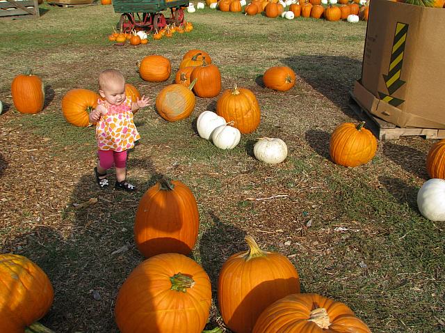 Some of these are bigger than she is.
