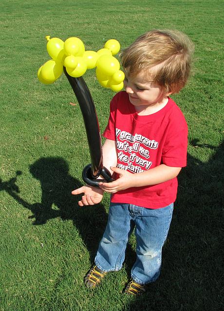 Yellow poodle on a leash