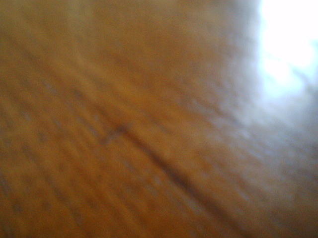 IMG 0022