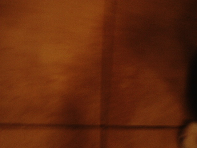 IMG 0058
