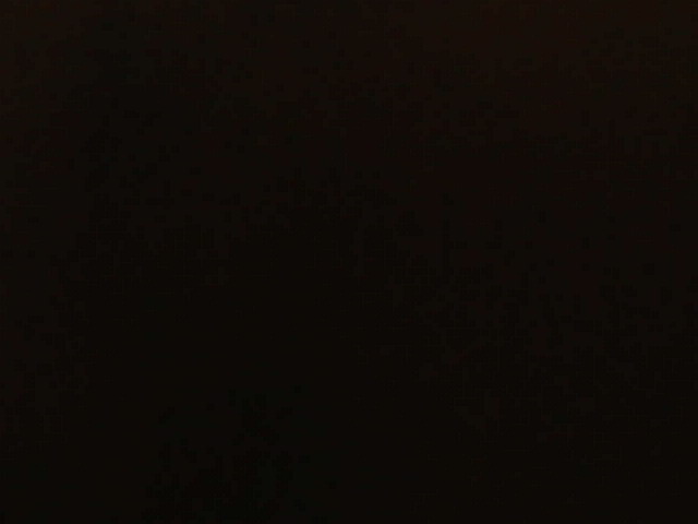 IMG 0103