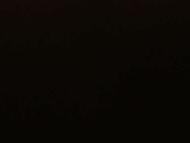 IMG 0104