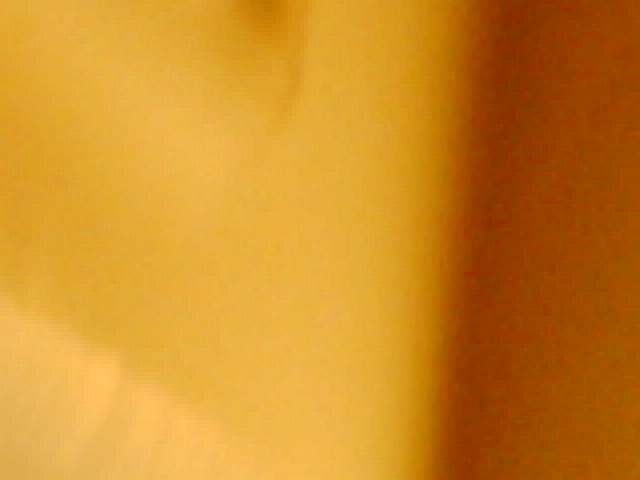 IMG 0121