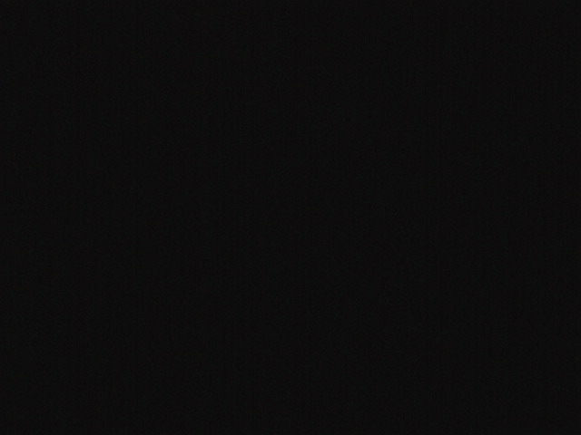 IMG 0135