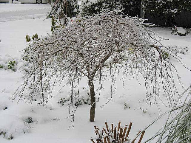 201202 009