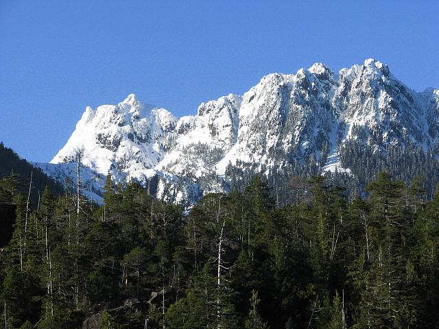 201203A 029