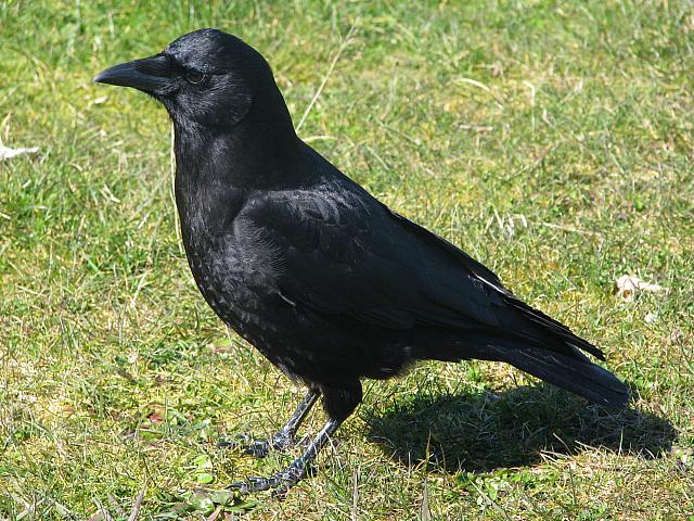 201203A 045