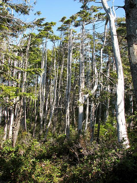 201203A 079