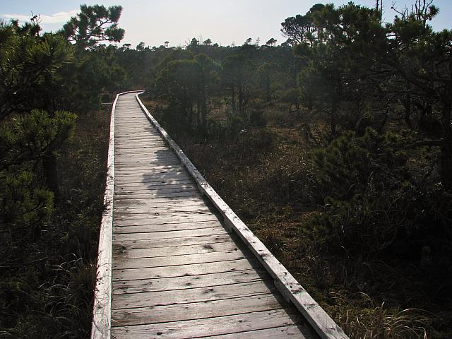 201203A 133