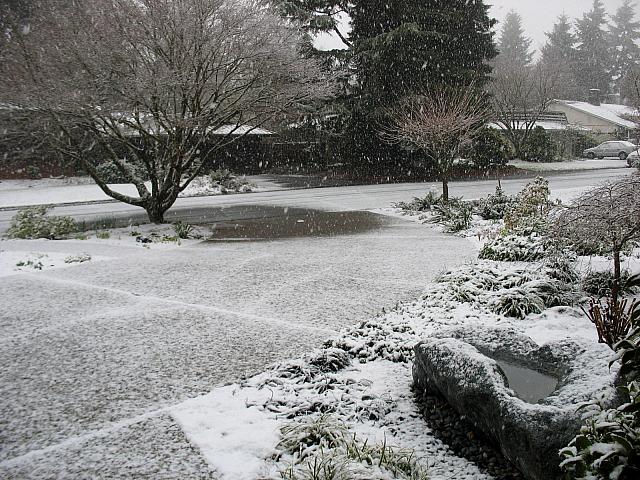 Left click to enlarge, then scroll using 'next' and 'previous' arrows