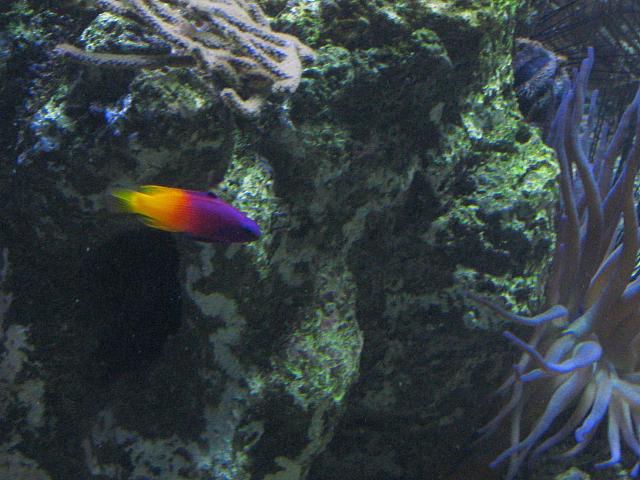 201205A2 1271