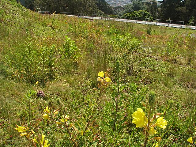 201205A2 1288