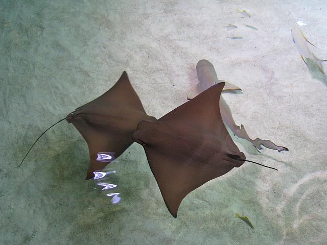 201205A2 1318