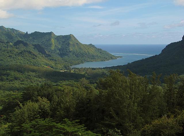 Opunohu Bay from Belvedere