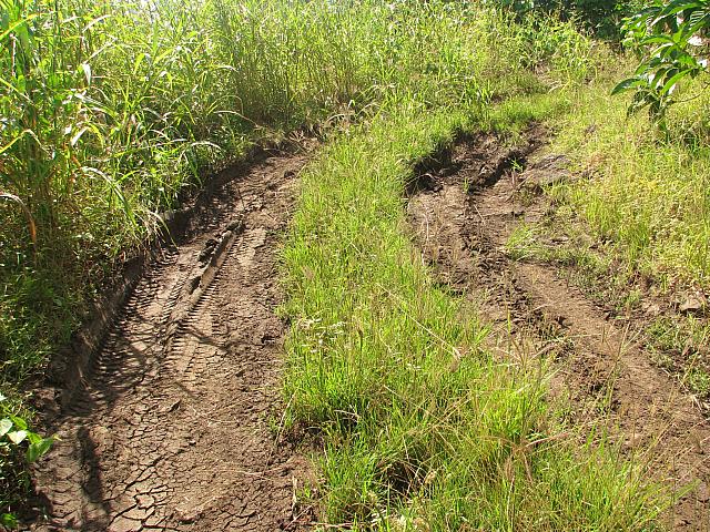 More ruts!