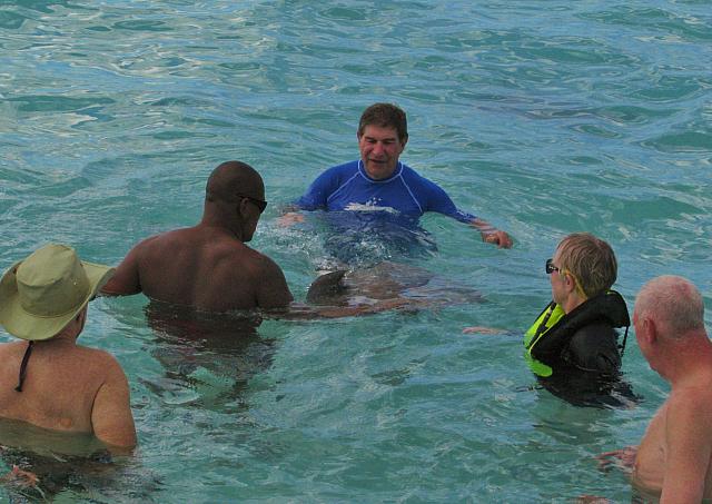 Stingrays