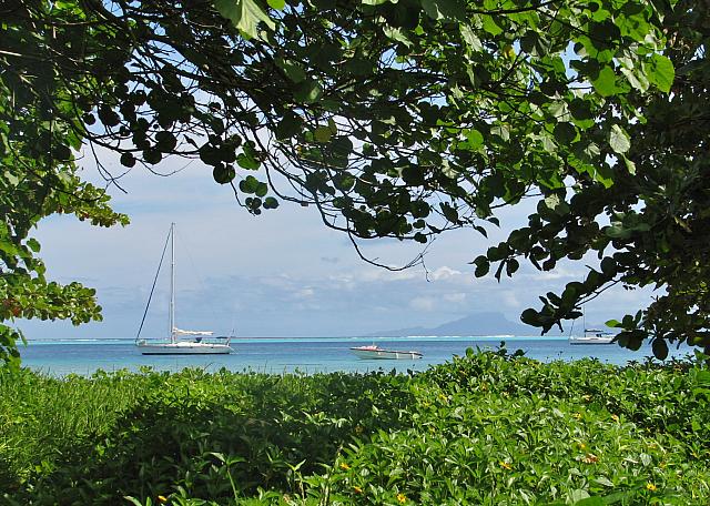 View of the lagoon