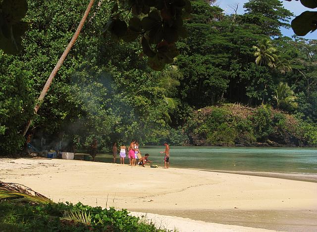 Local family picnics