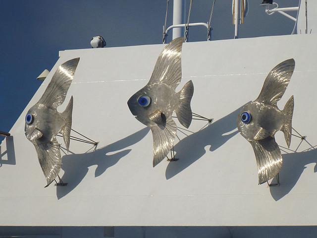 Sunfish