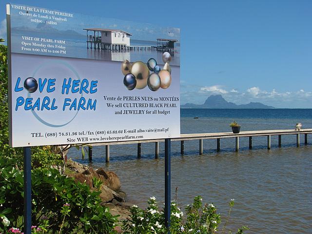 "Love Here Pearl Farm"