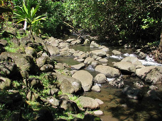 Creek below waterfall