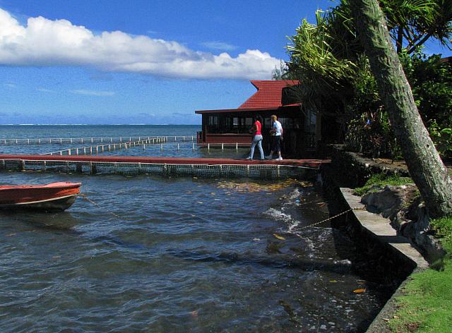 Restaurant near Gauguin Museum
