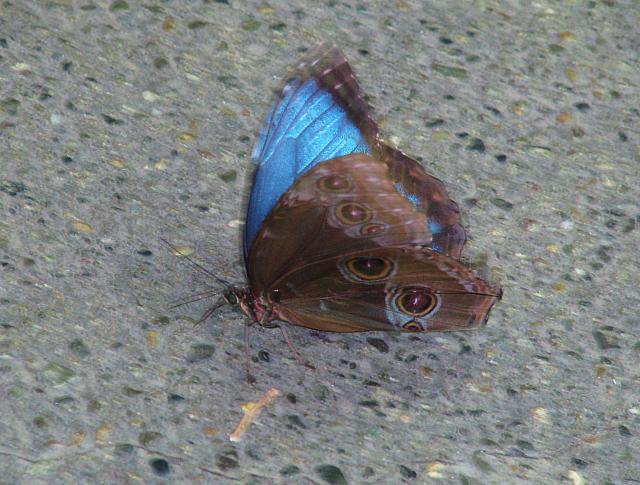 201206 027