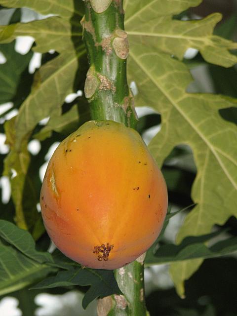 201206 037